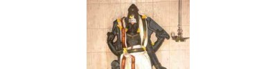 கீழ்படப்பை